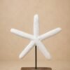 Starfish Wonder- Bohemian Homes