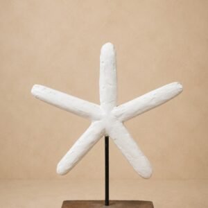 Starfish Wonder- Bohemian Homes