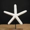 Starfish Wonder- By Bohemian Homes