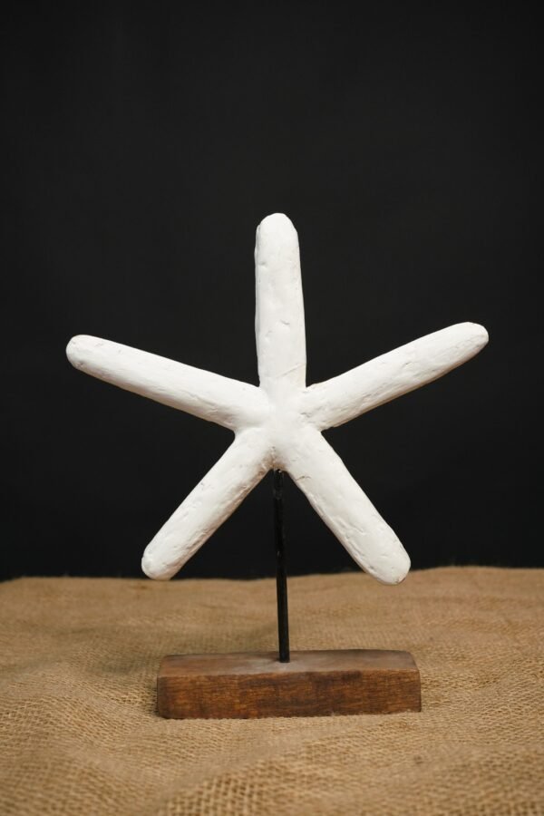 Starfish Wonder- By Bohemian Homes