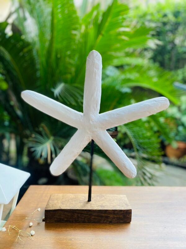Starfish Wonder
