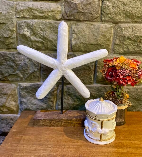 Starfish Wonder